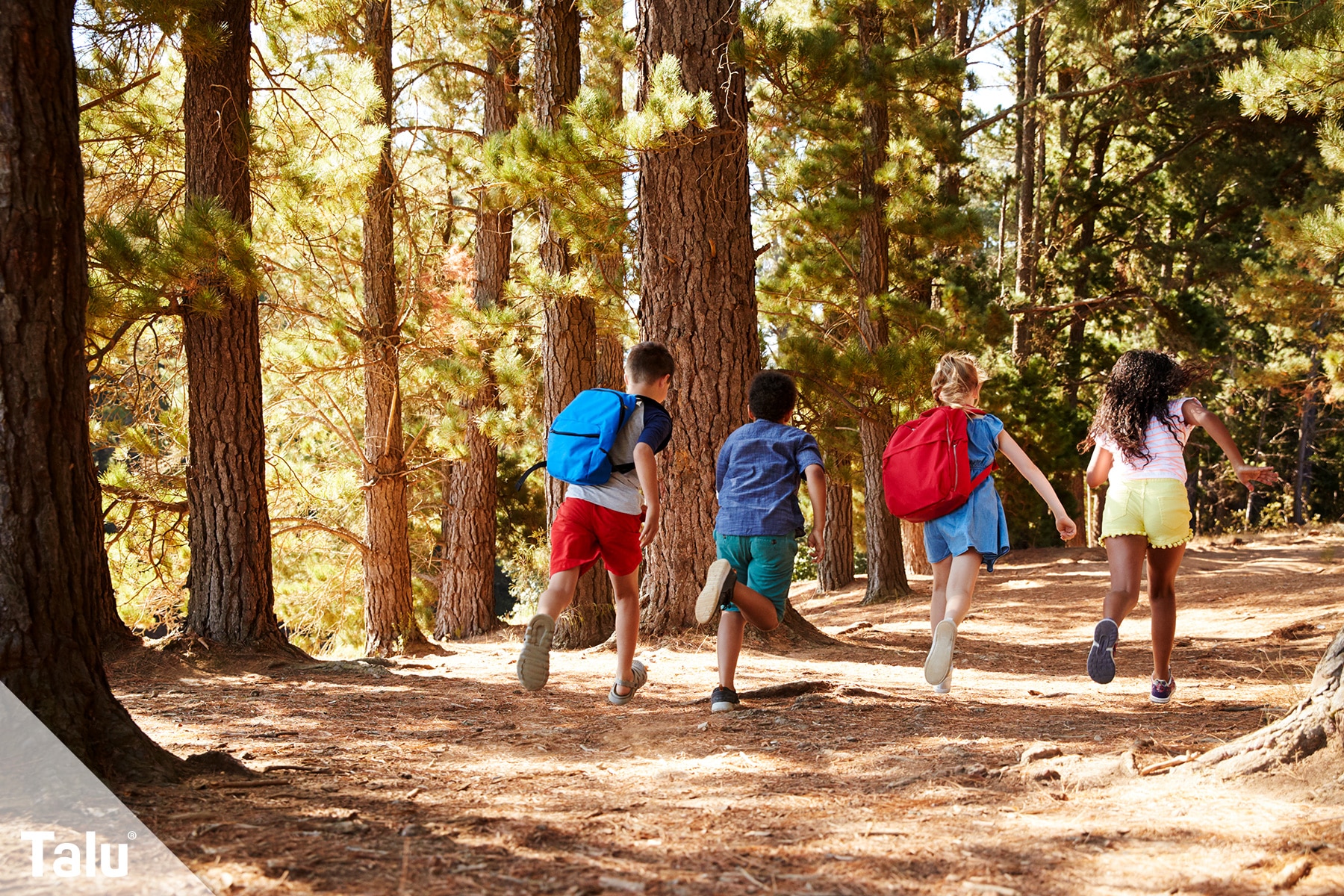 Waldspiele für Kinder