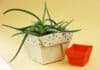 Origami Blumentopf