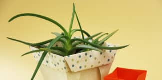 Origami Blumentopf