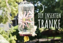Insektentränke basteln