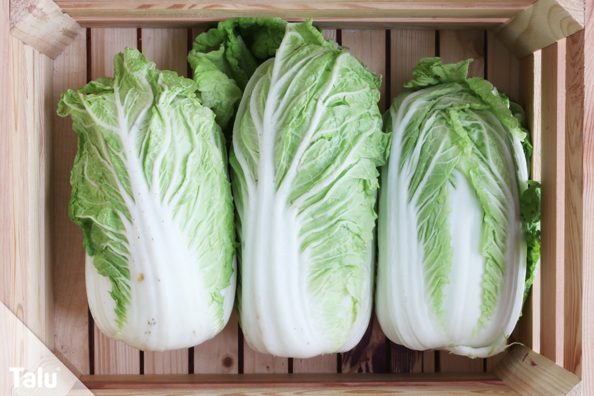 Hochbeet im Herbst bepflanzen - Talu.de