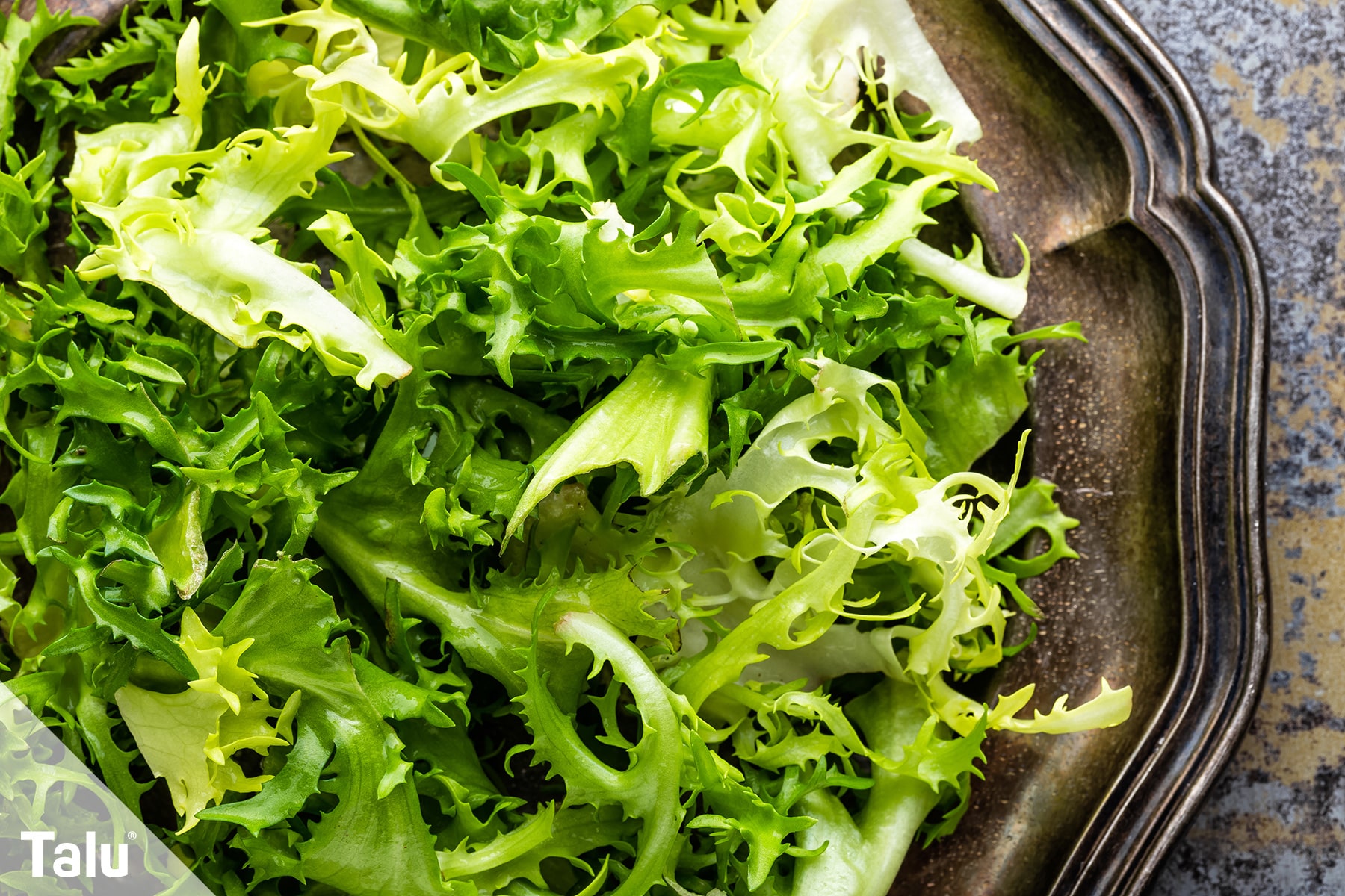 Frisée