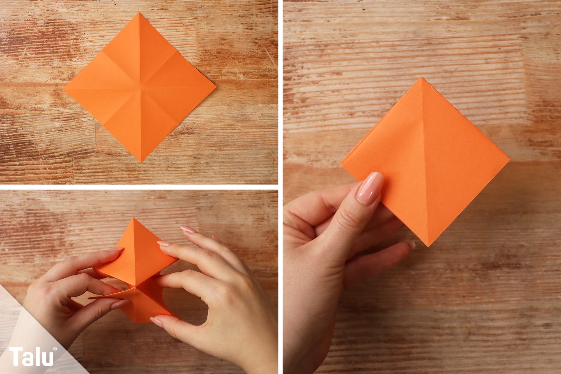 Origami-Anleitung