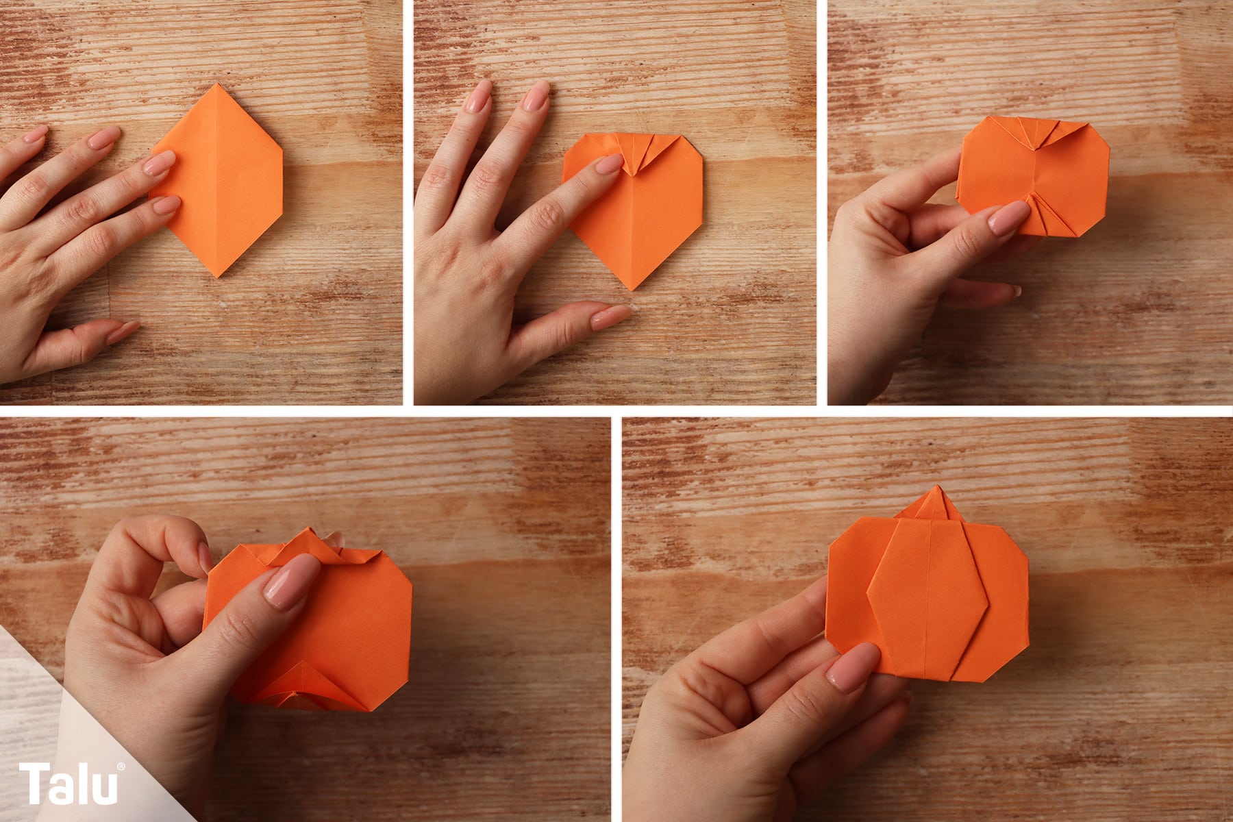 Origami-Anleitung
